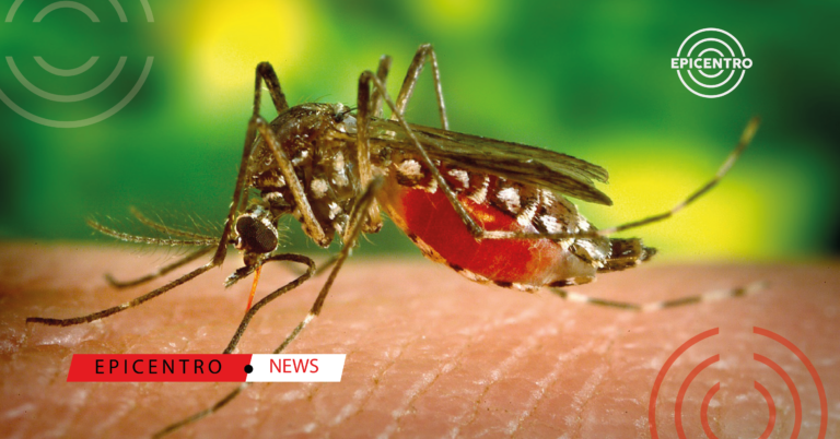 Escasez de medicamentos contra el dengue en Perú